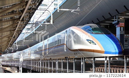 東京駅20番線出発前の北陸新幹線 新幹線E7系・W7系電車 JR東日本 東京都千代田区丸の内一丁目 東京駅20番線出発前の北陸新幹線 新幹線E7系・W7系電車 JR東日本 東京都千代田区丸の内一丁目 117222614