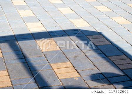 Shadow of person on the floor, wood, road, rectangle, flooring, asphalt 117222662