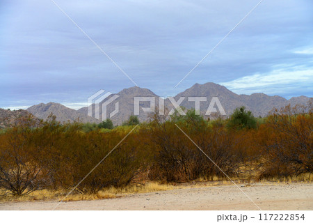 San Tan Mountains Sonora Desert Arizona 117222854
