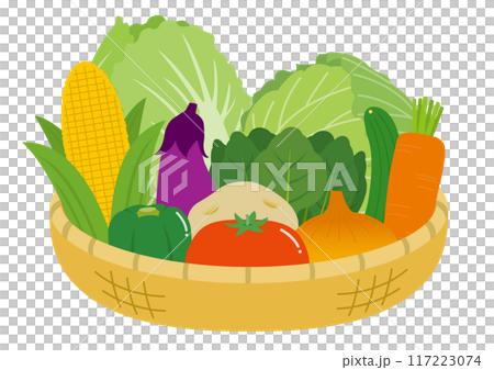 Illustration of a shallow basket full of vegetables Illustration of a shallow basket full of vegetables 117223074