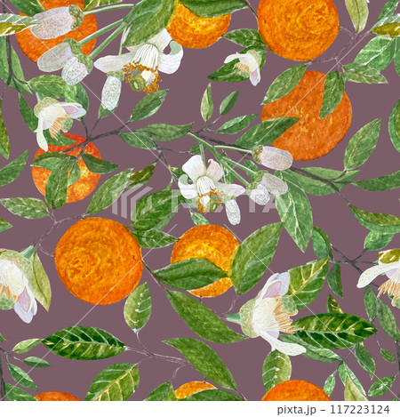 Orange branches with fruits, flowers, buds and leaves watercolor seamless pattern on purple. Hand-painted illustration captures the essence of nature, perfect for home decor, scented candles, textile Orange branches with fruits, flowers, buds and leaves watercolor seamless pattern on purple. Hand-painted illustration captures the essence of nature, perfect for home decor, scented candles, textile 117223124