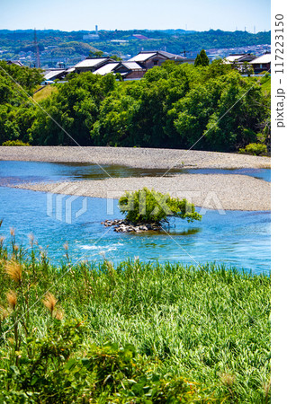 【京都風景】宇治川の緩やかな流れ（観月橋から宇治橋まで） 117223150
