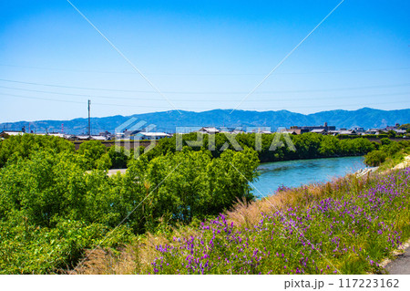【京都風景】宇治川の緩やかな流れ(観月橋から宇治橋まで) 【京都風景】宇治川の緩やかな流れ(観月橋から宇治橋まで) 117223162