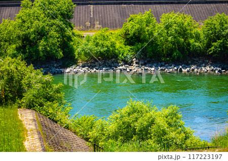 【京都風景】宇治川の緩やかな流れ（観月橋から宇治橋まで） 117223197