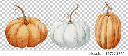 Pumpkins clipart set. Watercolor illustration with orange and white gourd on isolated background. Drawing of autumn vegetables for harvest festival or thanksgiving invitations or greeting cards. 117223282