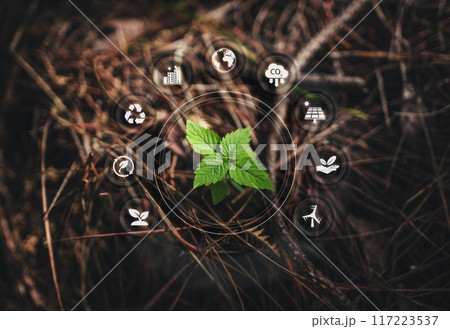 Environmental love concept, small tree growing in forest, environmental love icons around small tree 117223537