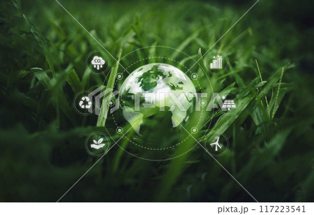 Globe on the green grass in the forest, environmental concept 117223541