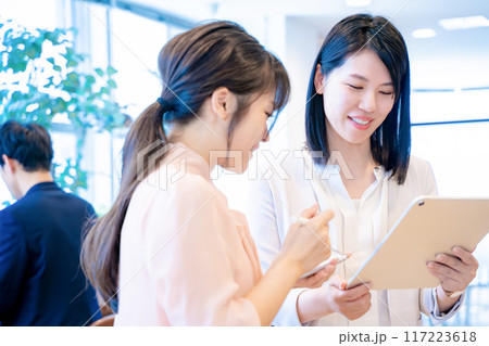 ミーティング　打ち合わせ 117223618