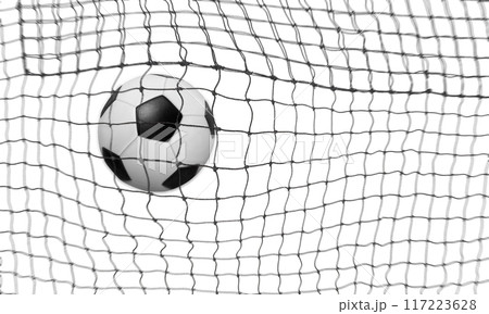 soccer ball in the middle of the net Isolated on a white background 117223628