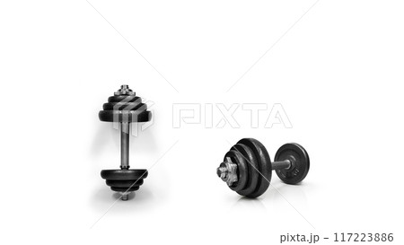 Metal dumbbells. Isolated on white background. Gym, fitness and sports equipment symbol. Area for entering text Metal dumbbells. Isolated on white background. Gym, fitness and sports equipment symbol. Area for entering text 117223886