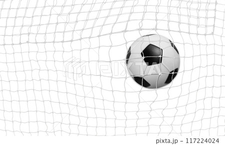 The soccer ball goes into the net and scores a goal. On a white background. The soccer ball goes into the net and scores a goal. On a white background. 117224024
