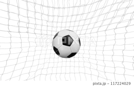 Soccer or soccer ball in goal net isolated on white background. front view 117224029