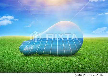 solar panel in bulb Sustainable Resource Concept 117224070