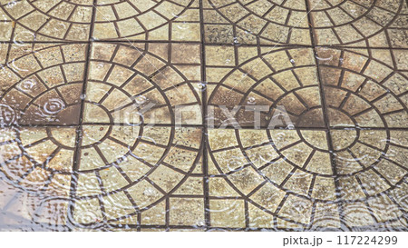 Street tiles wet from rain. Different textures of stone. Large drops and puddles 117224299