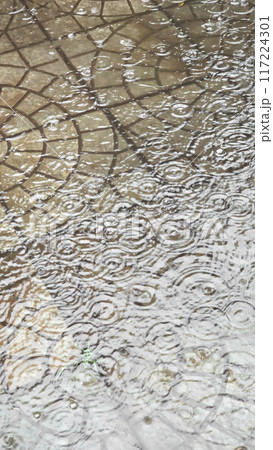 Street tiles wet from rain. Different textures of stone. Large drops and puddles Street tiles wet from rain. Different textures of stone. Large drops and puddles 117224301