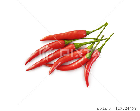 Chili pepper isolated on white background. Ripe chili pepper Clipping Path Chili pepper isolated on white background. Ripe chili pepper Clipping Path 117224458