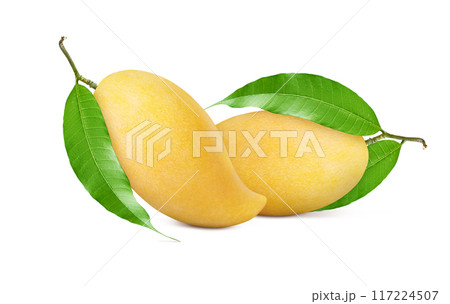 Ripe Mango with green leaf isolated on white background. Clipping path. 117224507