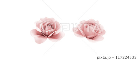 Light pink rose paper on white background Light pink rose paper on white background 117224535