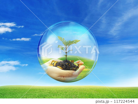 A young tree in the palm of your hand. Investment. Environmental protection in the view of bubbles. A young tree in the palm of your hand. Investment. Environmental protection in the view of bubbles. 117224544