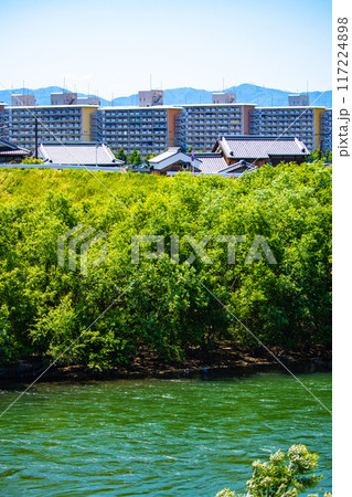 【京都風景】宇治川の緩やかな流れ（観月橋から宇治橋まで） 117224898