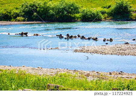 【京都風景】宇治川の緩やかな流れ（観月橋から宇治橋まで） 117224925