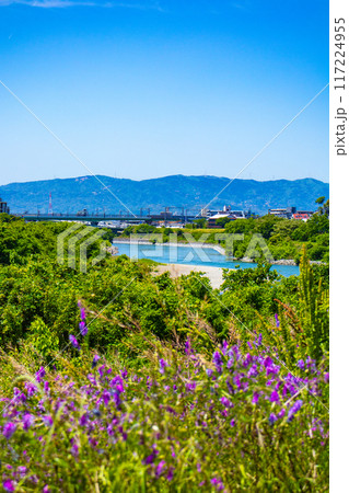 【京都風景】宇治川の緩やかな流れ（観月橋から宇治橋まで） 117224955