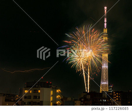 東京　隅田川花火とスカイツリーと雷 117226085
