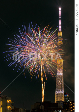 東京　隅田川花火とスカイツリー 117226086