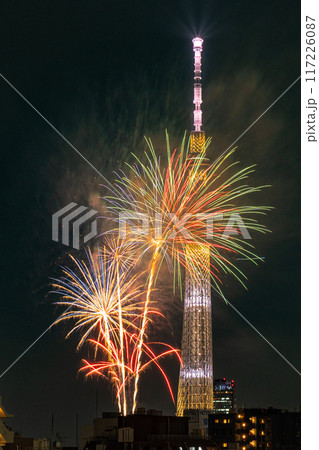 東京　隅田川花火とスカイツリー 117226087