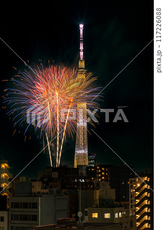 東京 隅田川花火とスカイツリー 東京 隅田川花火とスカイツリー 117226088