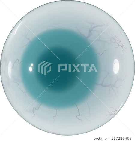 3D Green eyeball 117226405