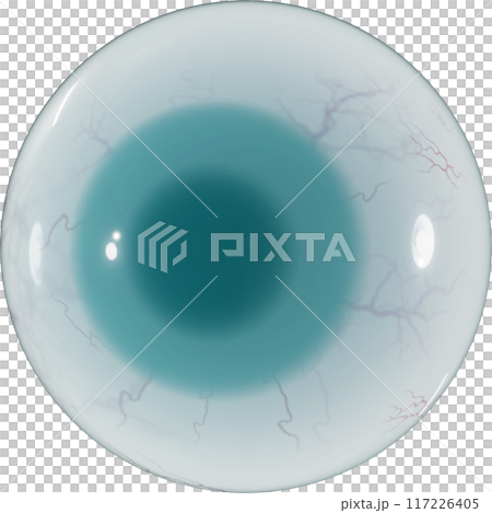 3D Green eyeball 117226405