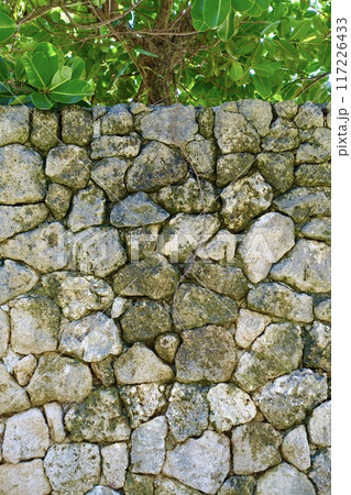 石垣の塀と緑の葉 石垣の塀と緑の葉 117226433