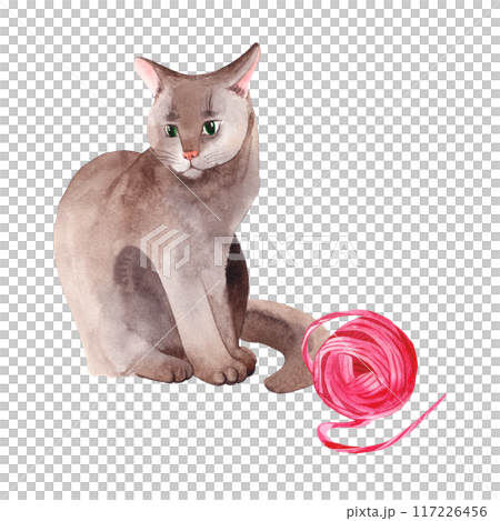 Gray fluffy cat with green eyes and a ball of pink fur, a pet drawn with watercolors. Watercolor illustration. Suitable for printing on fabric, paper, for packaging pet products. Gray fluffy cat with green eyes and a ball of pink fur, a pet drawn with watercolors. Watercolor illustration. Suitable for printing on fabric, paper, for packaging pet products. 117226456