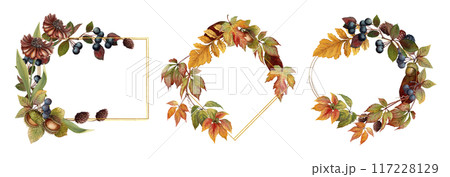 Set of three frames with autumn watercolor plant and foliage. Hand drawn floral template with copy space and gold geometric outline. Perfect for fall vibe botanical label and greeting card designs. 117228129