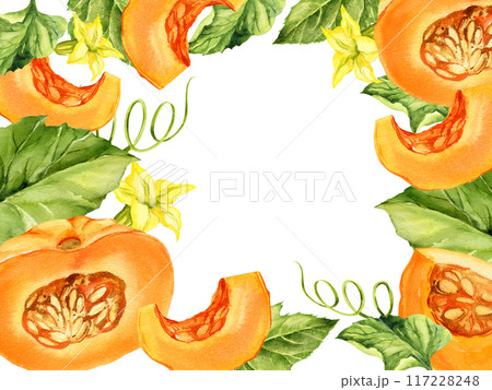 watercolor frame with different ripe orange and beige pumpkins with green leaves, stems, yellow flowers, autumn harvest illustration, hand drawn sketch, white background, for Halloween, fall festival watercolor frame with different ripe orange and beige pumpkins with green leaves, stems, yellow flowers, autumn harvest illustration, hand drawn sketch, white background, for Halloween, fall festival 117228248