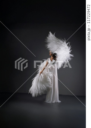 Woman In White Dress With Feather Wings 117229472
