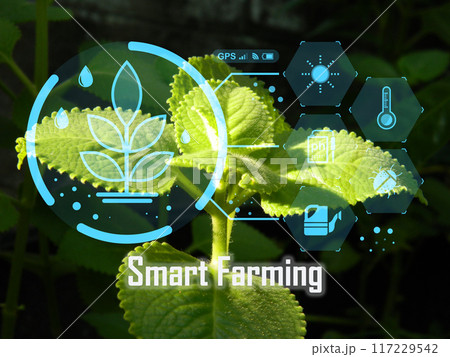 concept smart farming technology management 117229542