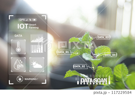 The concept of new farming or smart farming, agricultural technology 117229584