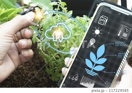 The concept of new farming or smart farming, agricultural technology The concept of new farming or smart farming, agricultural technology 117229585