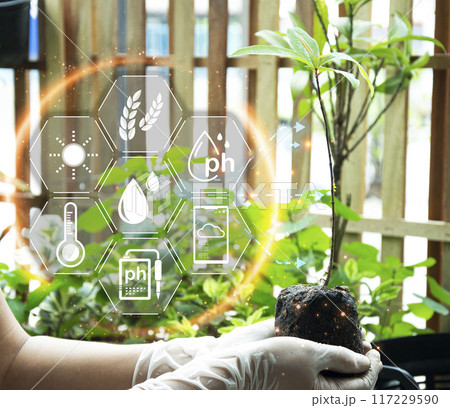 The concept of new farming or smart farming, agricultural technology 117229590