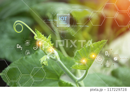 The concept of using AI and smart farming. 117229728