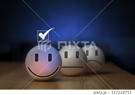 Users rate their service experience on the online application for a customer satisfaction survey concept. 117229752