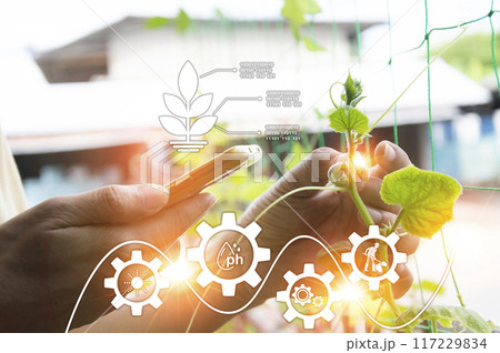 The concept of using AI and smart farming.. The concept of using AI and smart farming.. 117229834