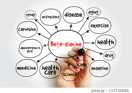 Beta-alanine is the building block of carnosine, a molecule that helps buffer acid in muscles, mind map text concept background 117230088