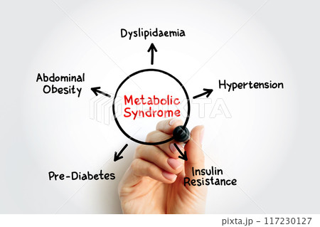 Metabolic Syndrome mind map process, medical concept for presentations and reports Metabolic Syndrome mind map process, medical concept for presentations and reports 117230127