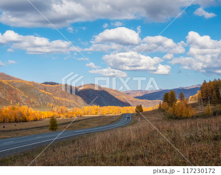 Chuisky tract in autumn. Chuisky tract in autumn. 117230172