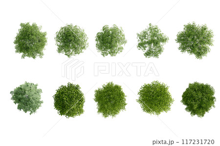 tree top view plant landscape architecture nature garden aerial render. trees branch isolate collection illustration environment green botany urban bush park. tree architecture conifer decorative. tree top view plant landscape architecture nature garden aerial render. trees branch isolate collection illustration environment green botany urban bush park. tree architecture conifer decorative. 117231720