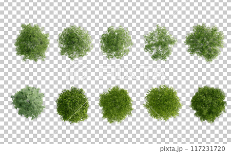 tree top view plant landscape architecture nature garden aerial render. trees branch isolate collection illustration environment green botany urban bush park. tree architecture conifer decorative. tree top view plant landscape architecture nature garden aerial render. trees branch isolate collection illustration environment green botany urban bush park. tree architecture conifer decorative. 117231720