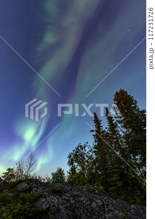 オーロラの輝く丘 117231726